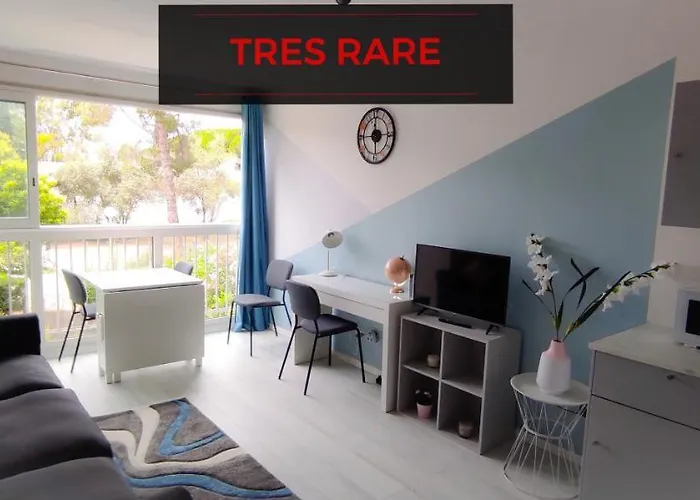 Studio 26m2 centre ville rénové avec parking privé